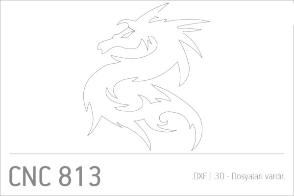 cnc813